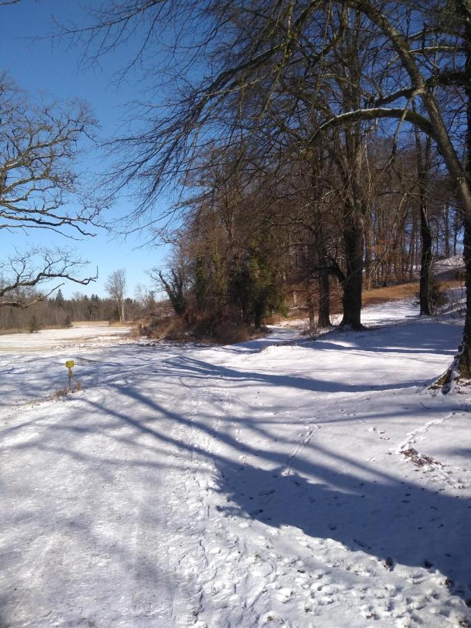 Gaestewohnung Schlossblick Grödig Eksteriør bilde